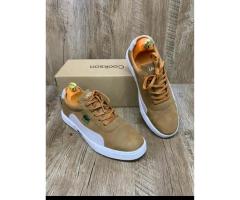 Tenis